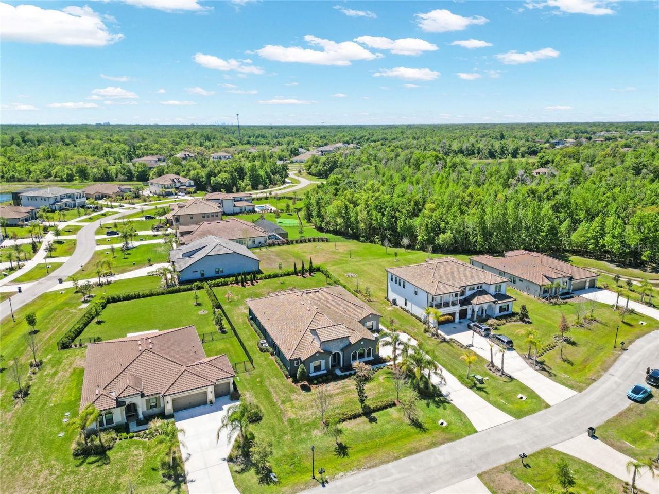 17904 Linden Common Court, Lutz, FL 33559 Photo