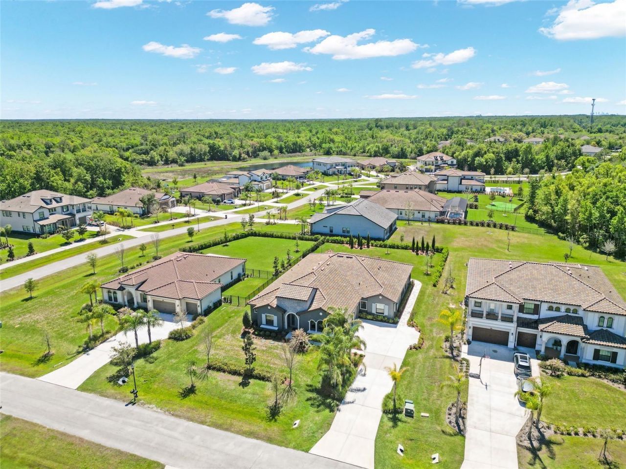 17904 Linden Common Court, Lutz, FL 33559 Photo