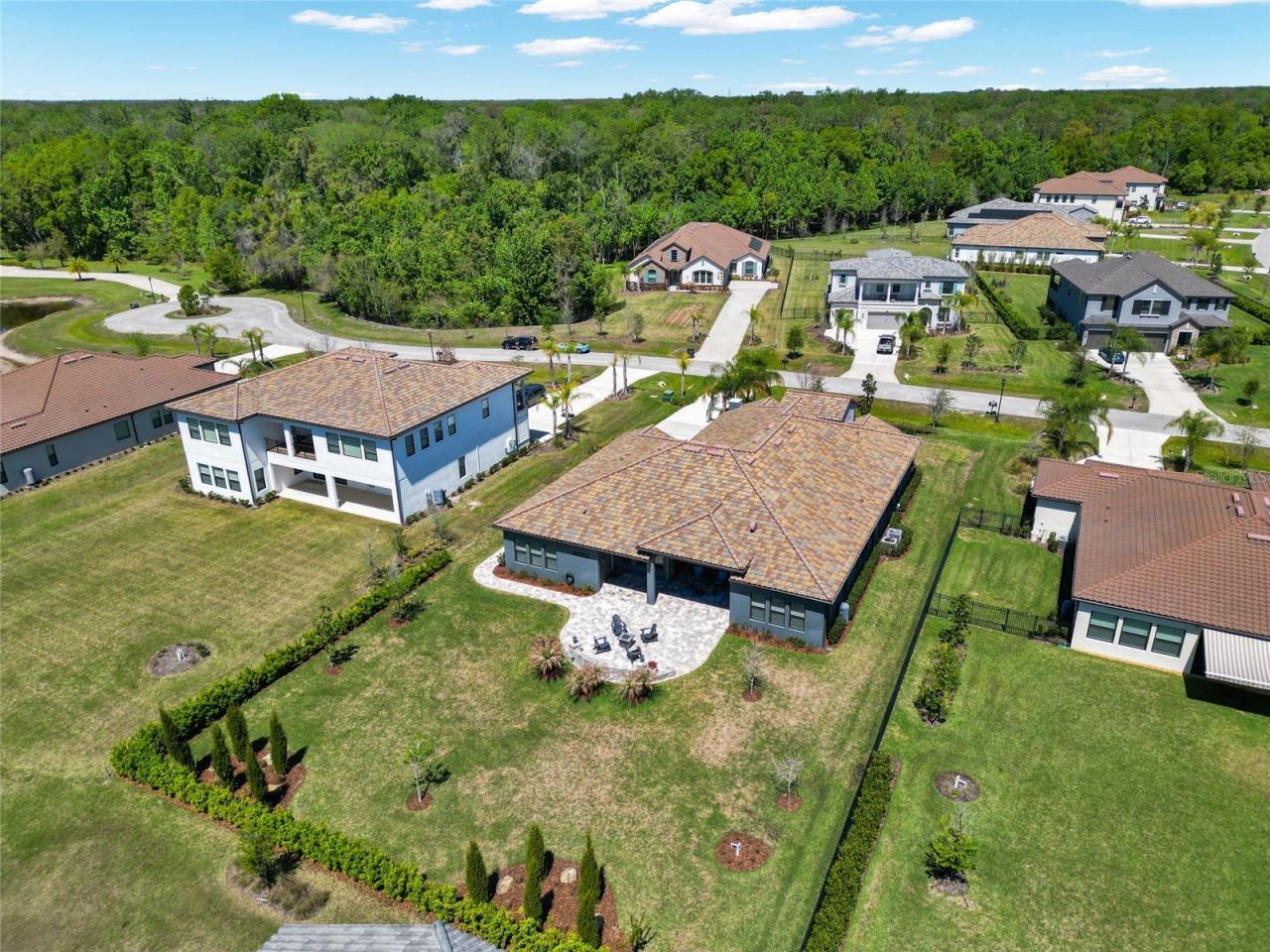 17904 Linden Common Court, Lutz, FL 33559 Photo