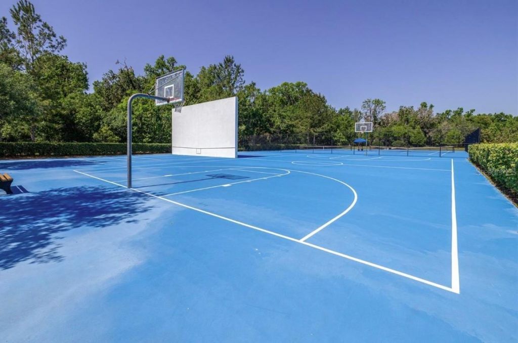 17904 Linden Common Court, Lutz, FL 33559 Photo