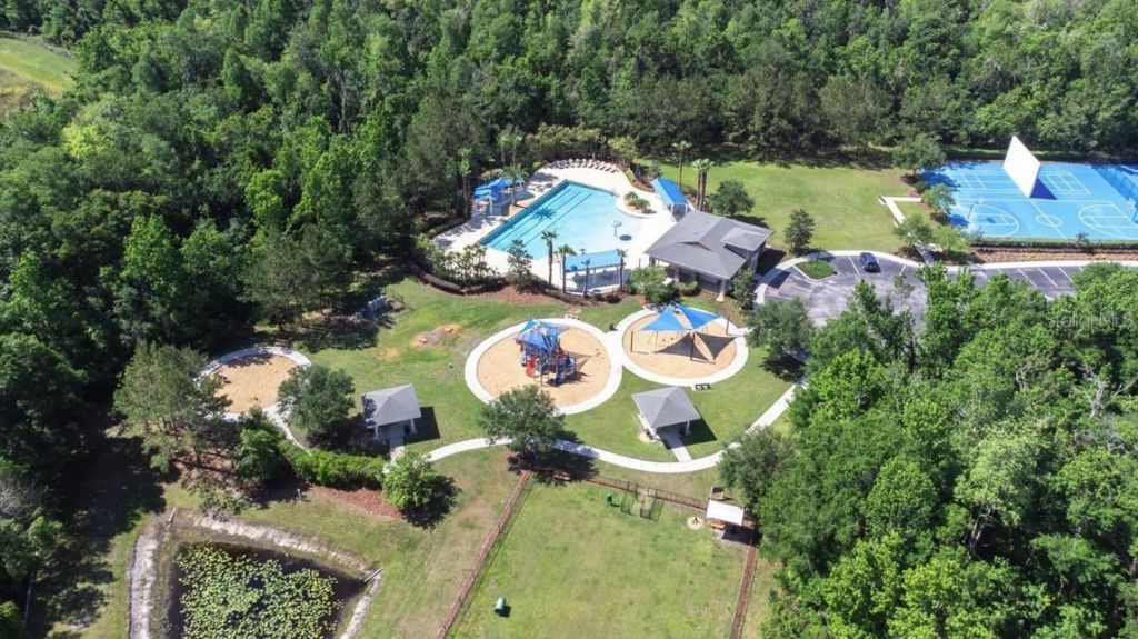 17904 Linden Common Court, Lutz, FL 33559 Photo