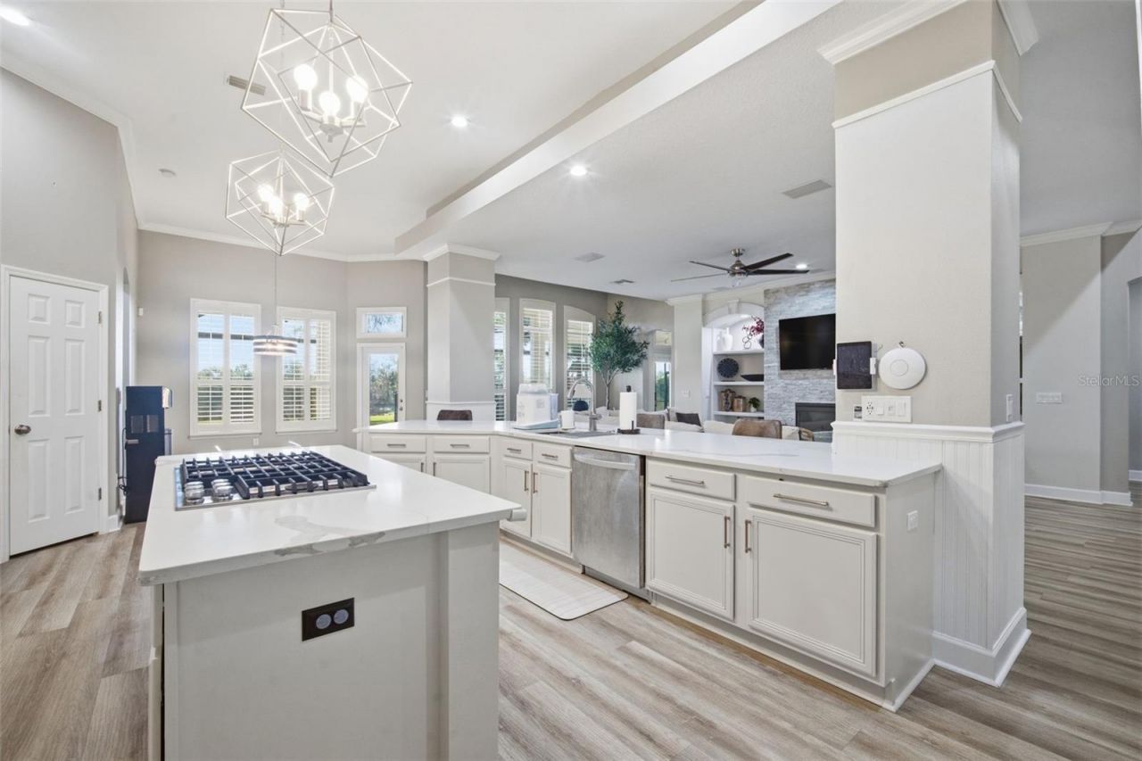 19739 Prince Benjamin Drive, Lutz, FL 33549 Photo