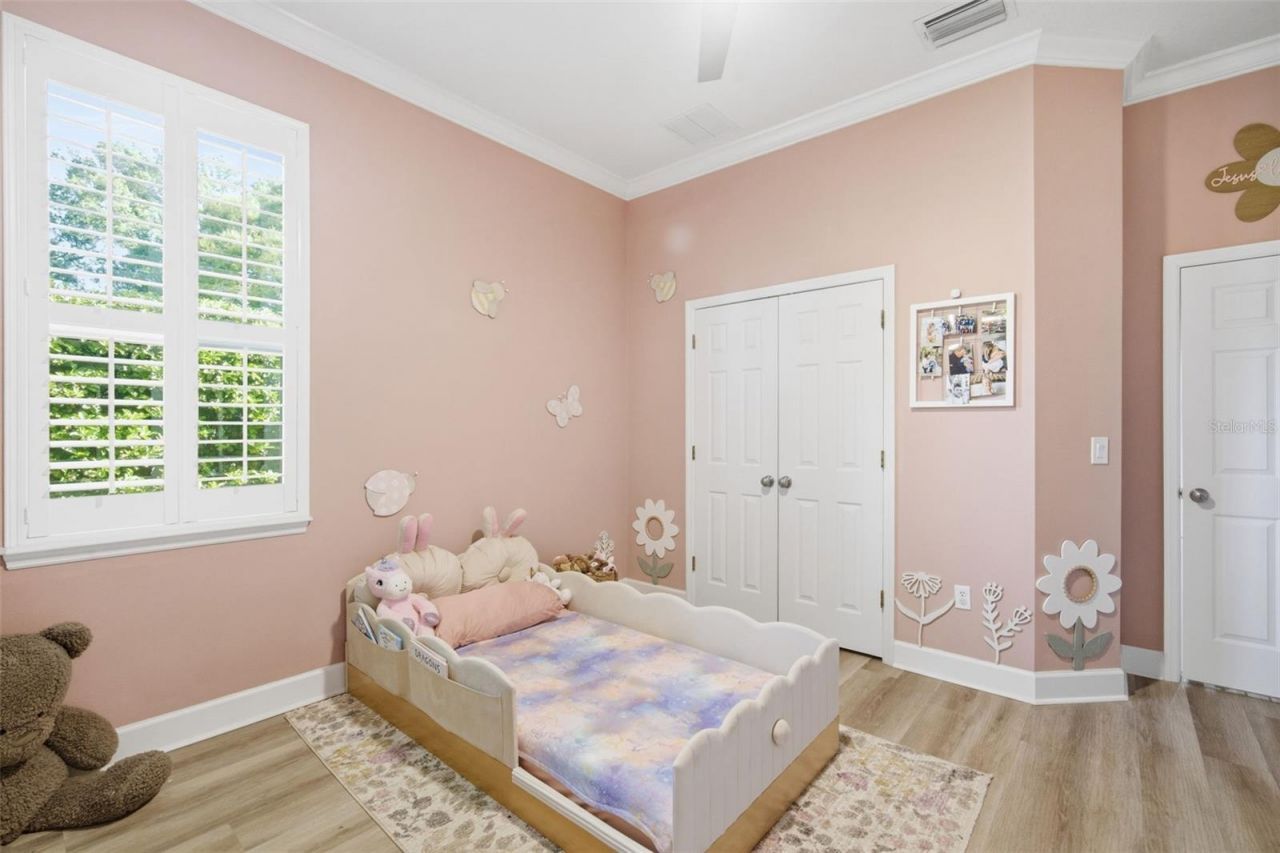 19739 Prince Benjamin Drive, Lutz, FL 33549 Photo