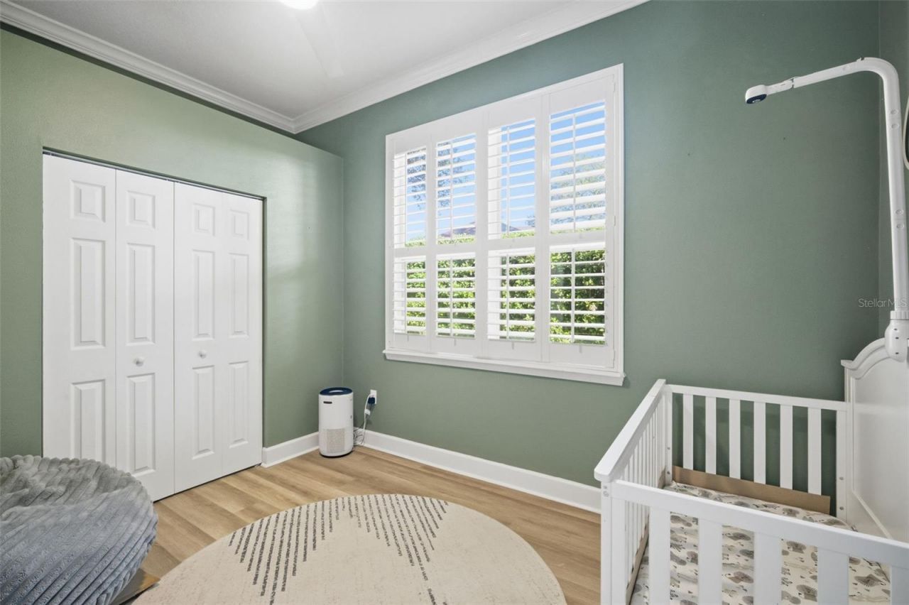 19739 Prince Benjamin Drive, Lutz, FL 33549 Photo