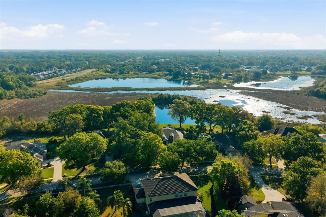 19739 Prince Benjamin Drive, Lutz, FL 33549 Photo