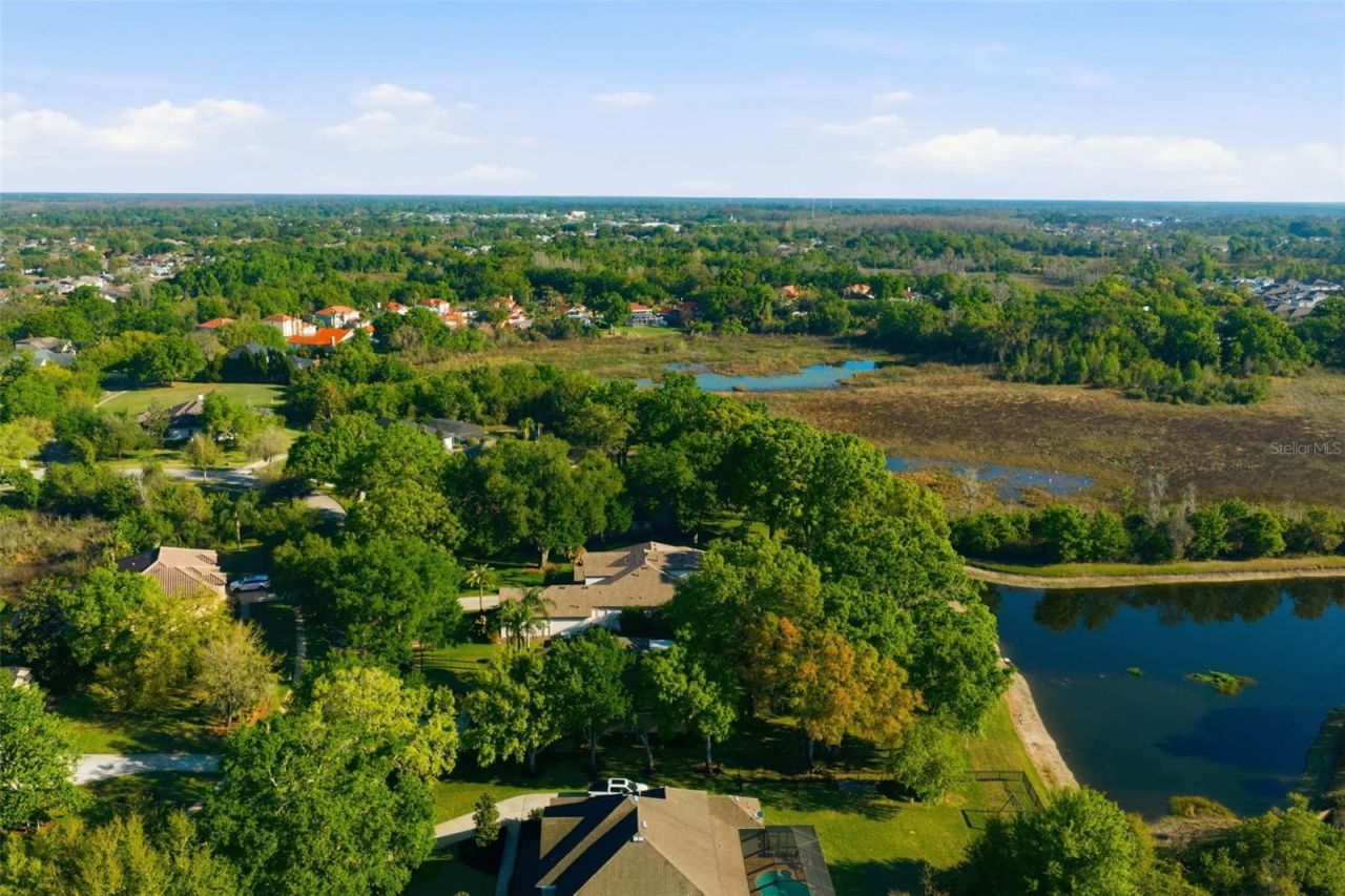 19739 Prince Benjamin Drive, Lutz, FL 33549 Photo