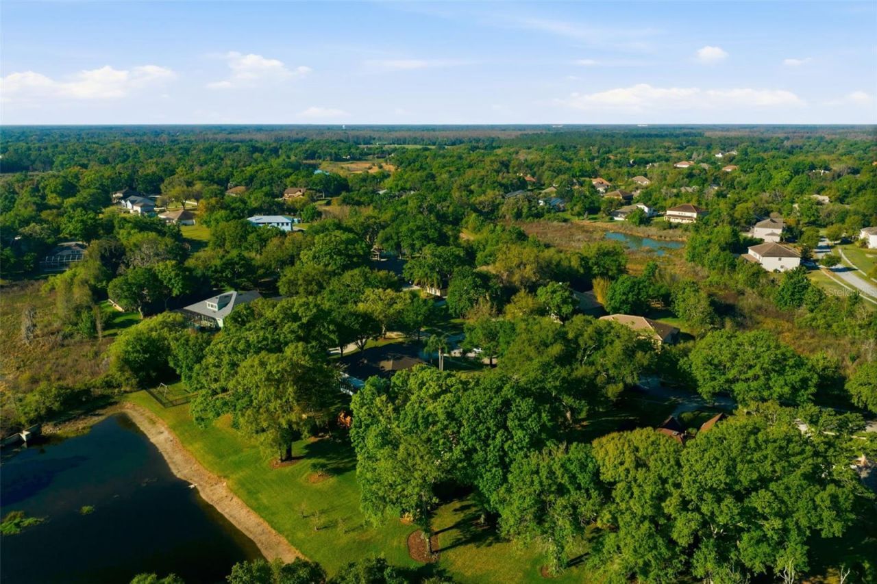 19739 Prince Benjamin Drive, Lutz, FL 33549 Photo