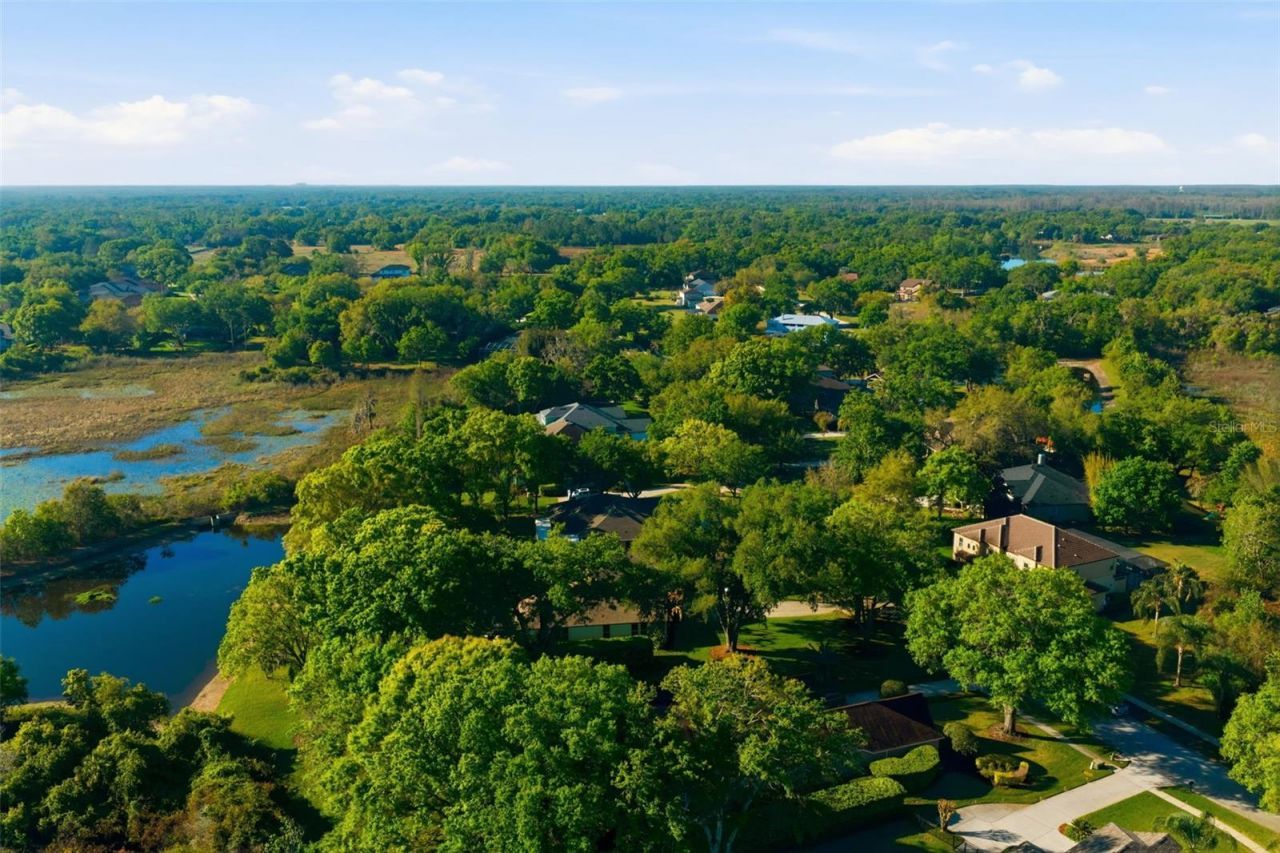 19739 Prince Benjamin Drive, Lutz, FL 33549 Photo