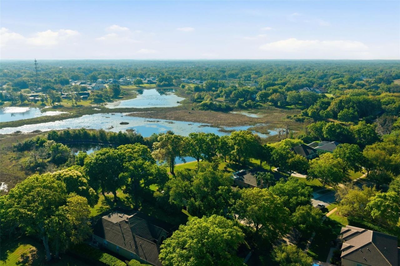 19739 Prince Benjamin Drive, Lutz, FL 33549 Photo