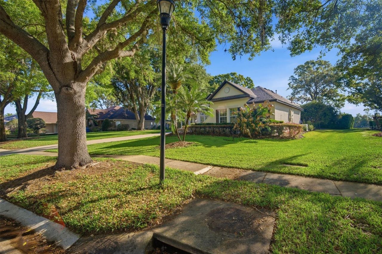 19739 Prince Benjamin Drive, Lutz, FL 33549 Photo