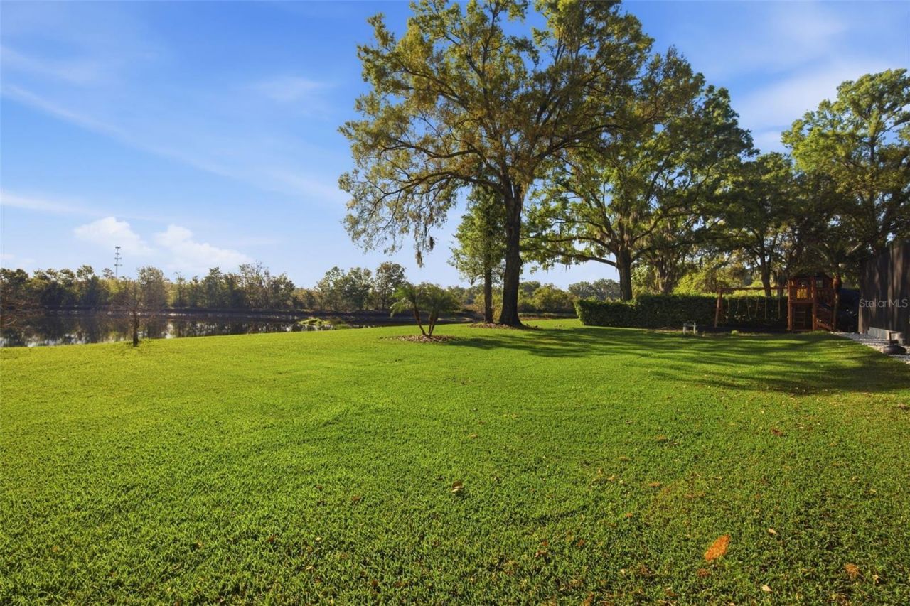 19739 Prince Benjamin Drive, Lutz, FL 33549 Photo