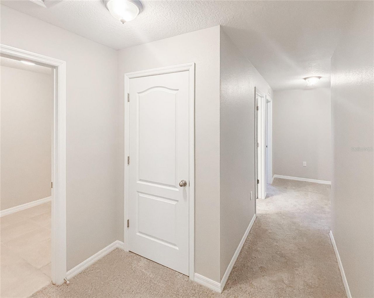 12026 Suburban Sunrise Street, Riverview, FL 33578 Photo