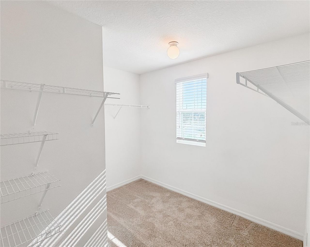 12026 Suburban Sunrise Street, Riverview, FL 33578 Photo