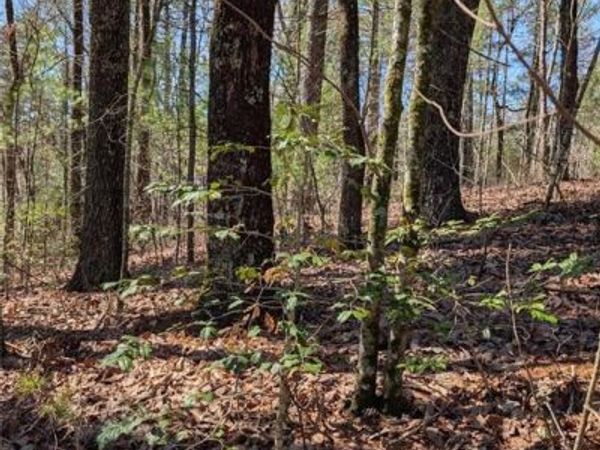 0 Amber Lane, Ellijay, GA 30540