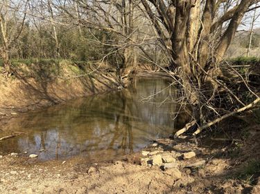 603 State Hwy 1003 , Somerset, KY 42501