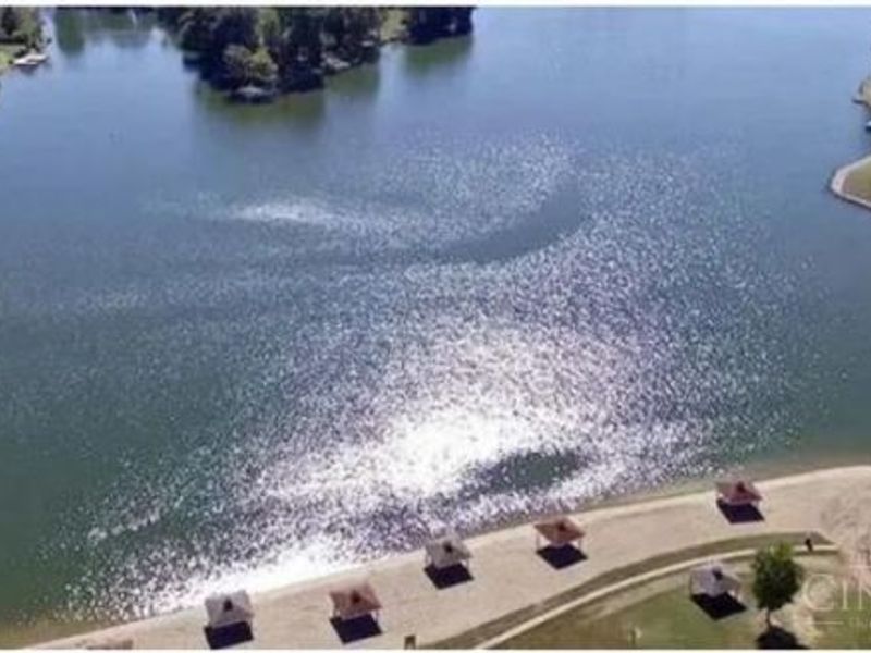 946 Brunswick Drive, Perry Twp, OH 45118 Photo 45