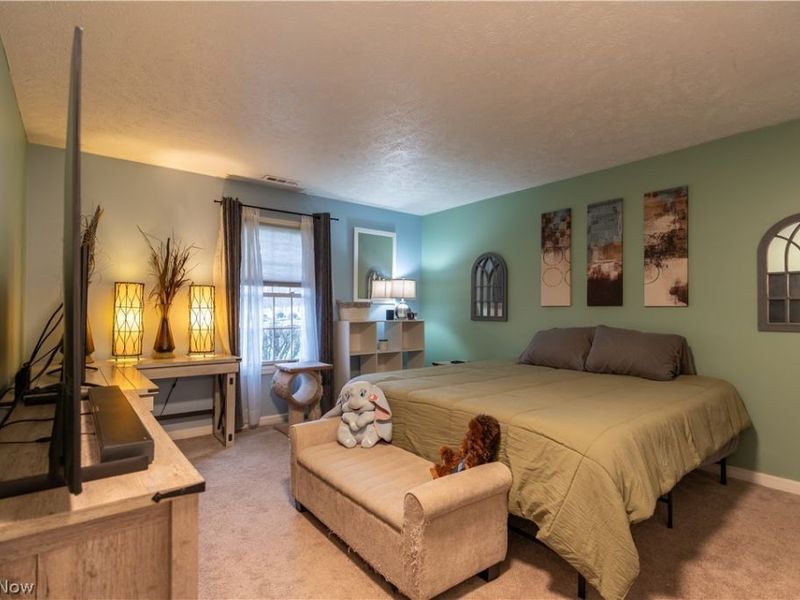 204 Harbor Ridge Lane, Fairport Harbor, OH 44077 Photo 13