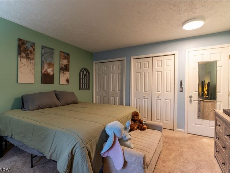 204 Harbor Ridge Lane, Fairport Harbor, OH 44077 Photo 17