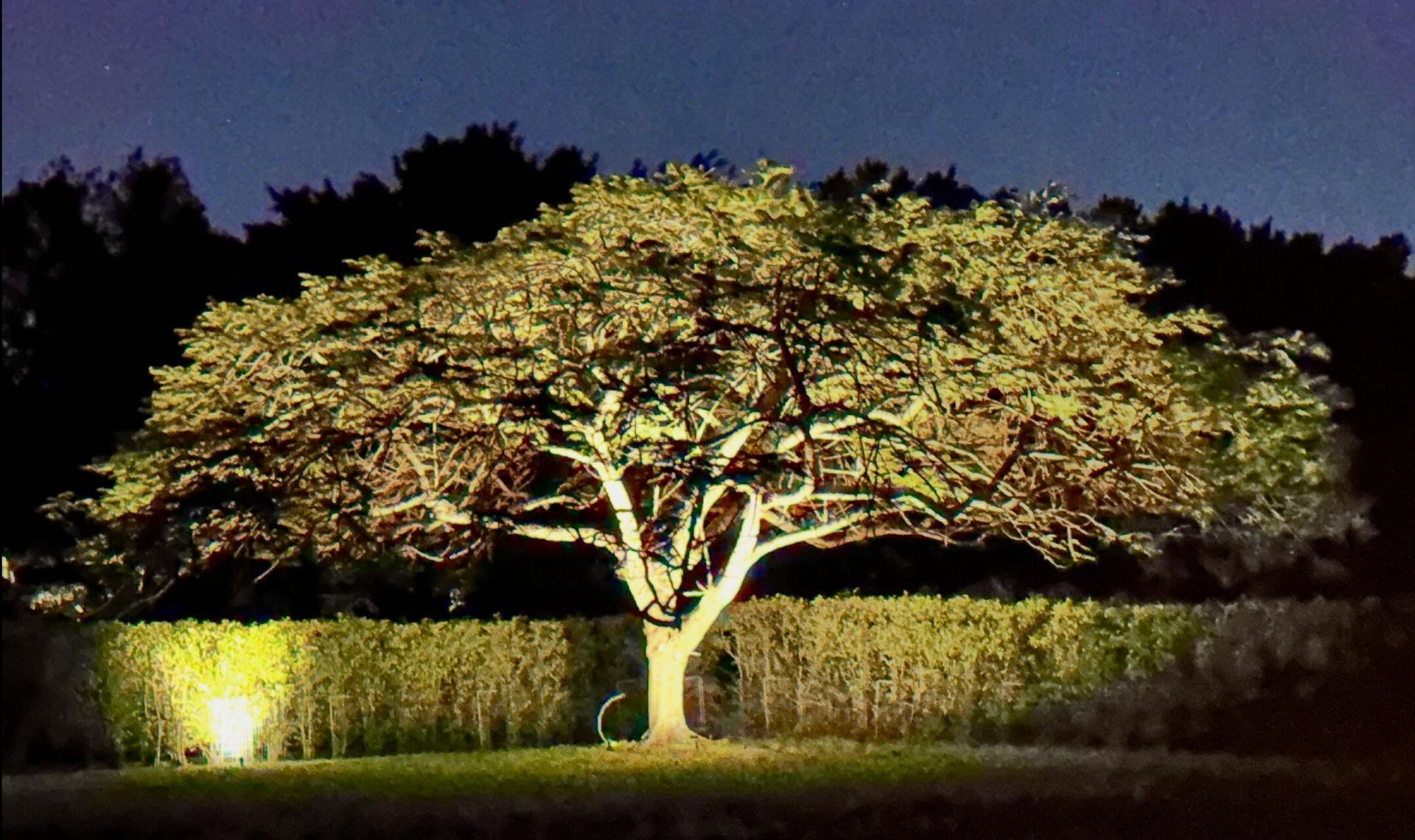 14390 Wellington Trace, Wellington, FL 33414 Photo