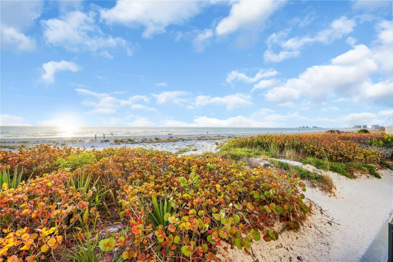 3110 1st Street W, Unit 101, Saint Pete Beach, FL 33706 Photo