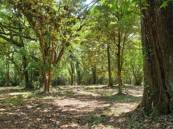 5377 Moffett Road , Mobile, AL 36618