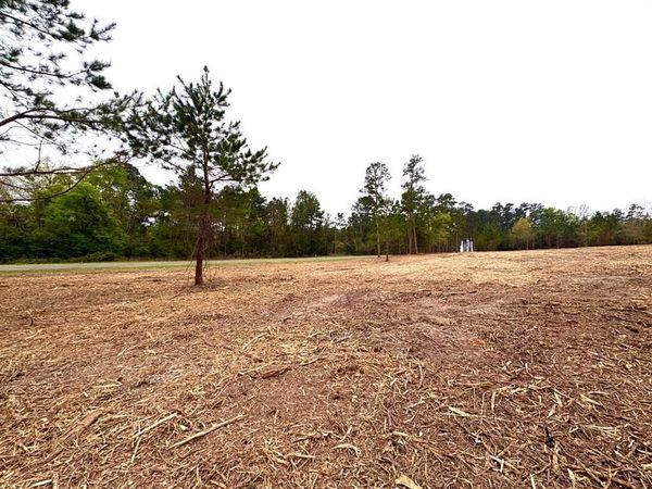 TBD (Tract C) FM 711 , Center, TX 75935