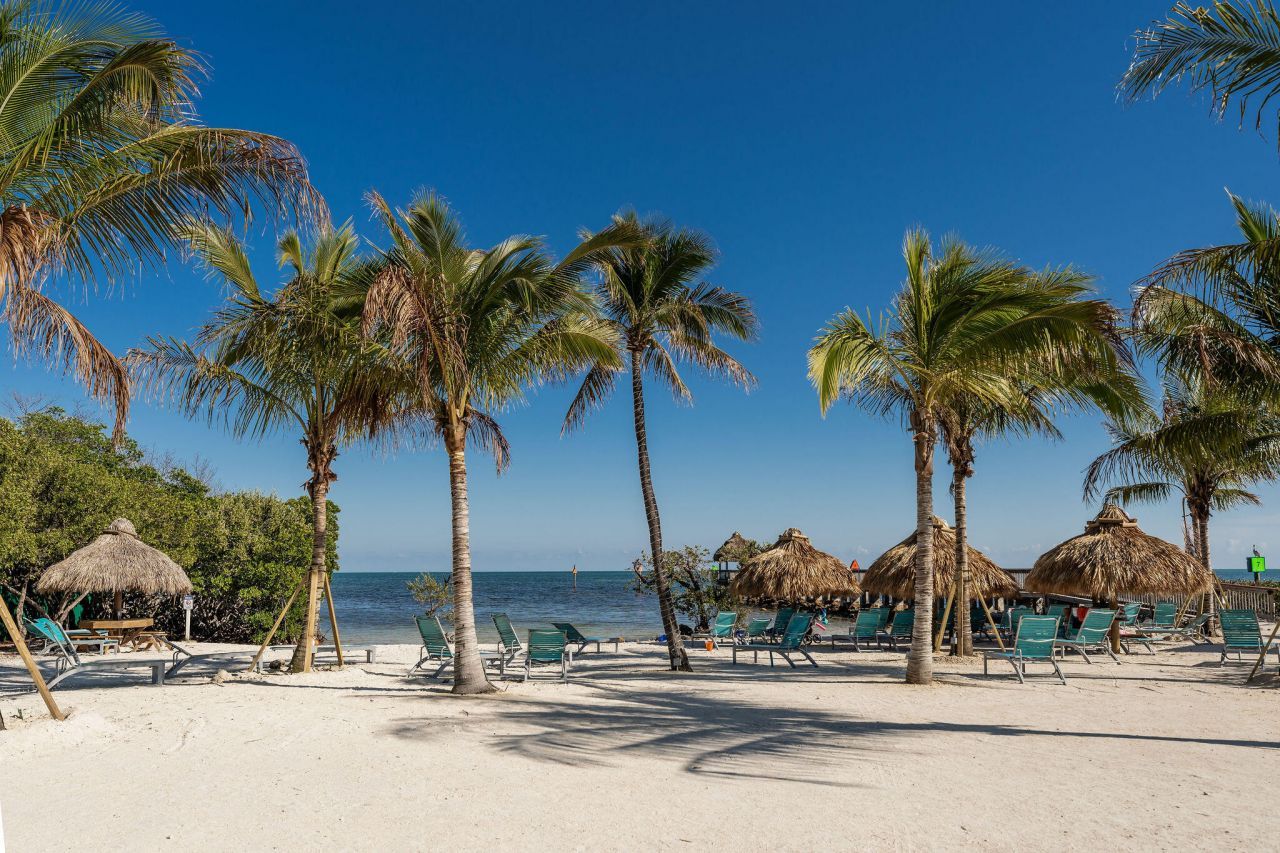 500 Burton Drive, Unit 2409, Tavernier, FL 33070 Photo