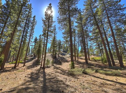 1251 Margaret Avenue, South Lake Tahoe, CA 96150 Photo