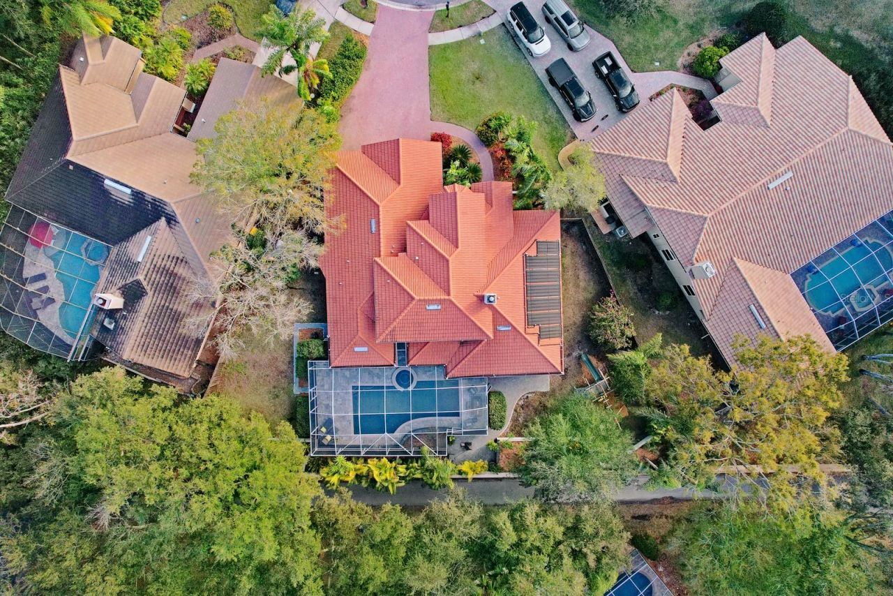 1598 Lockmeade Place, Oldsmar, FL 34677 Photo