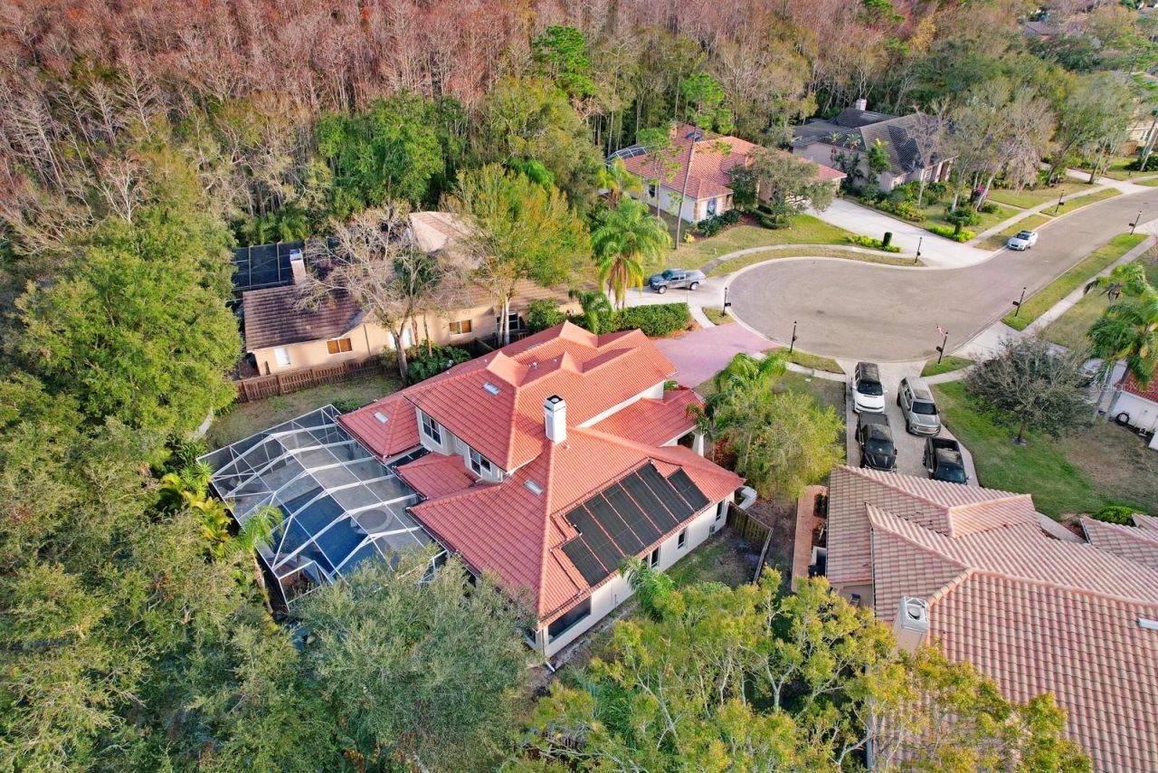 1598 Lockmeade Place, Oldsmar, FL 34677 Photo