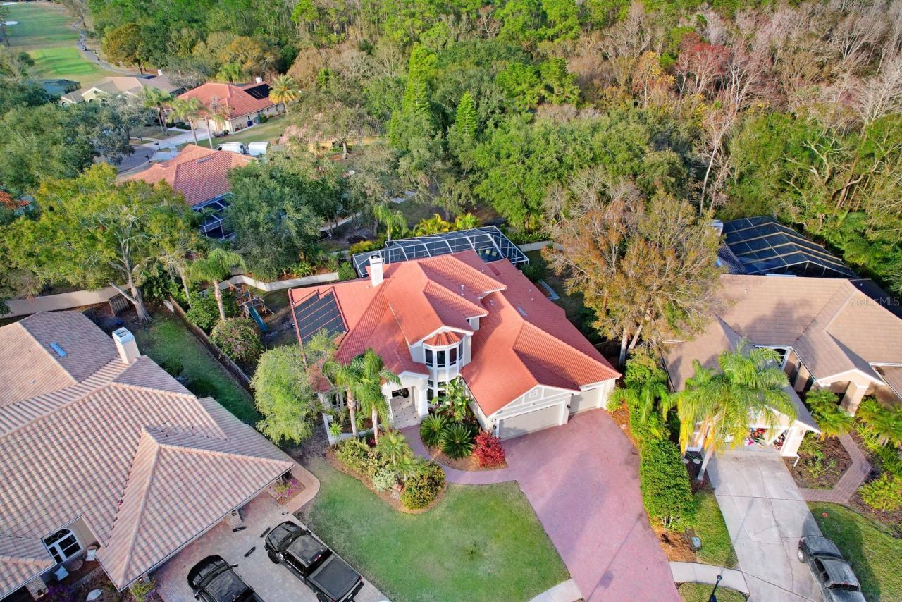 1598 Lockmeade Place, Oldsmar, FL 34677 Photo