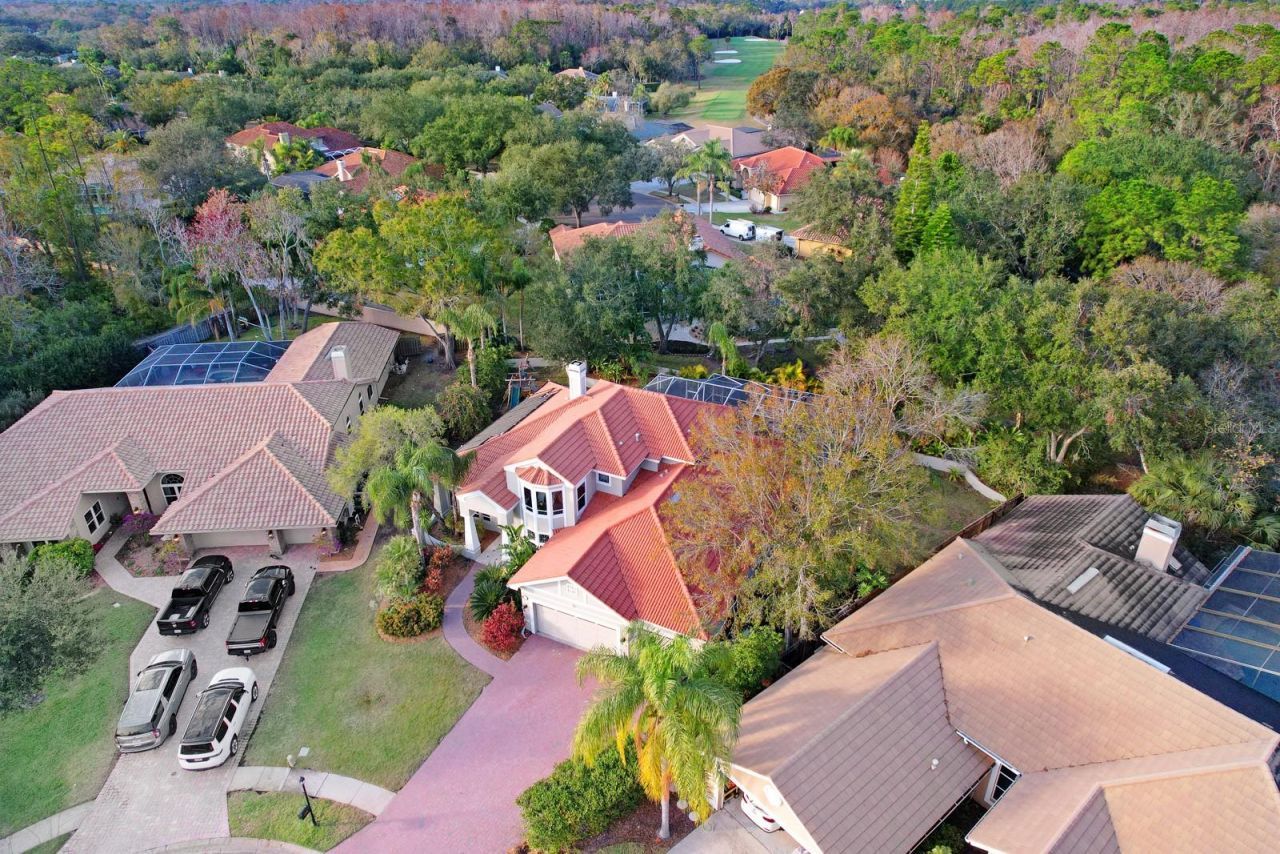1598 Lockmeade Place, Oldsmar, FL 34677 Photo