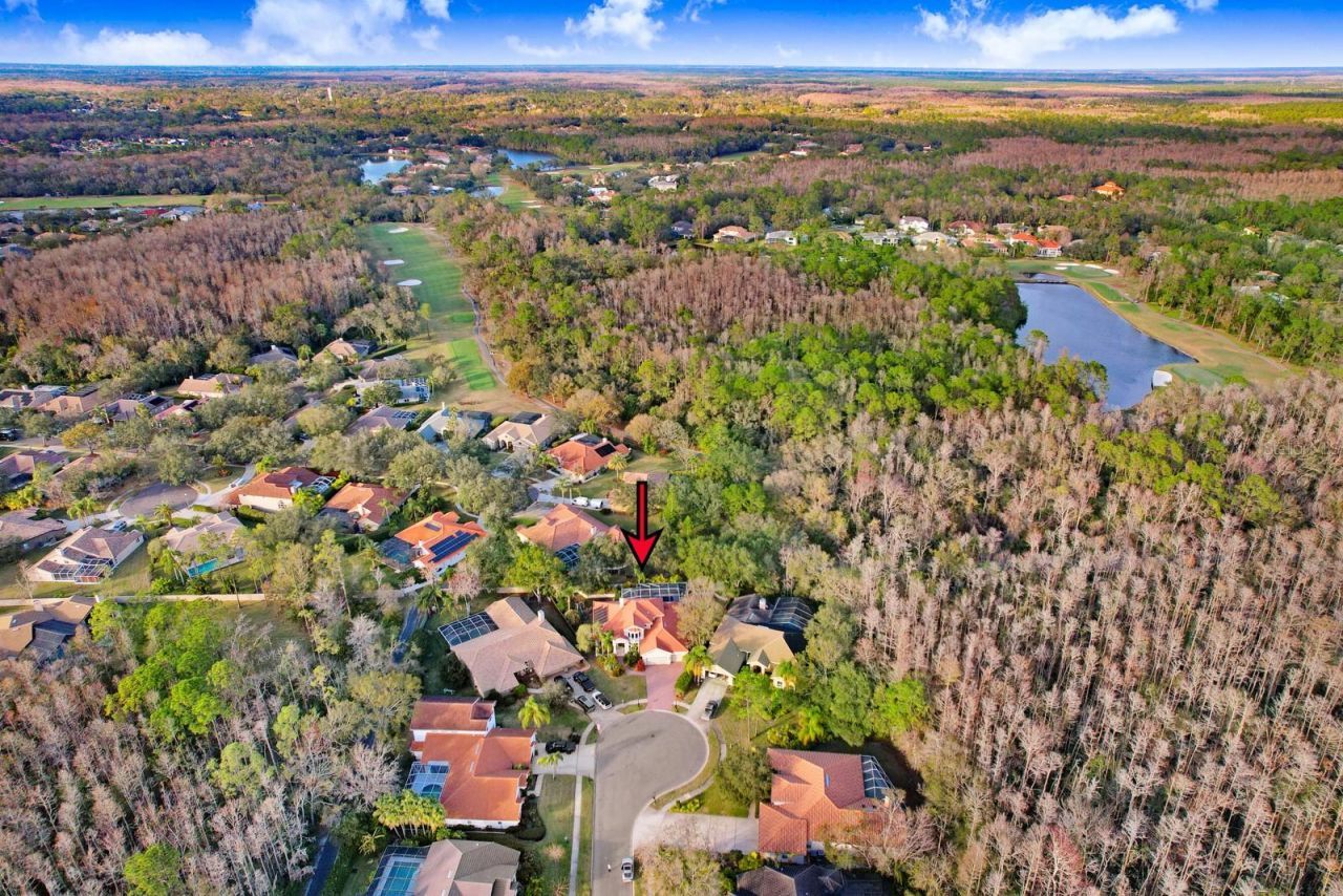 1598 Lockmeade Place, Oldsmar, FL 34677 Photo