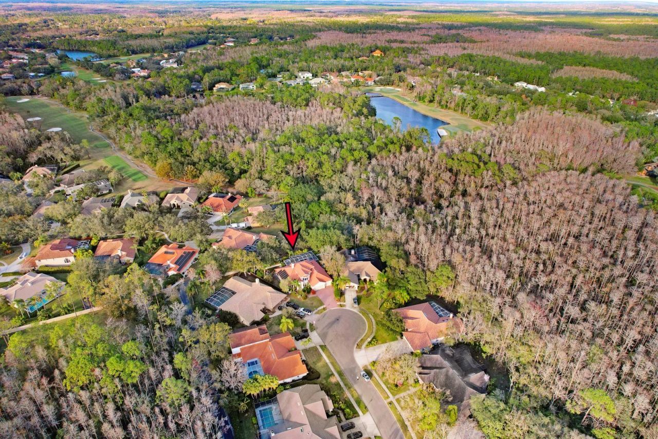 1598 Lockmeade Place, Oldsmar, FL 34677 Photo