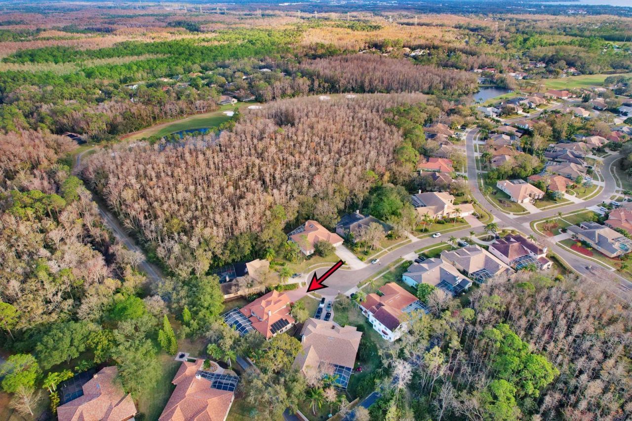 1598 Lockmeade Place, Oldsmar, FL 34677 Photo
