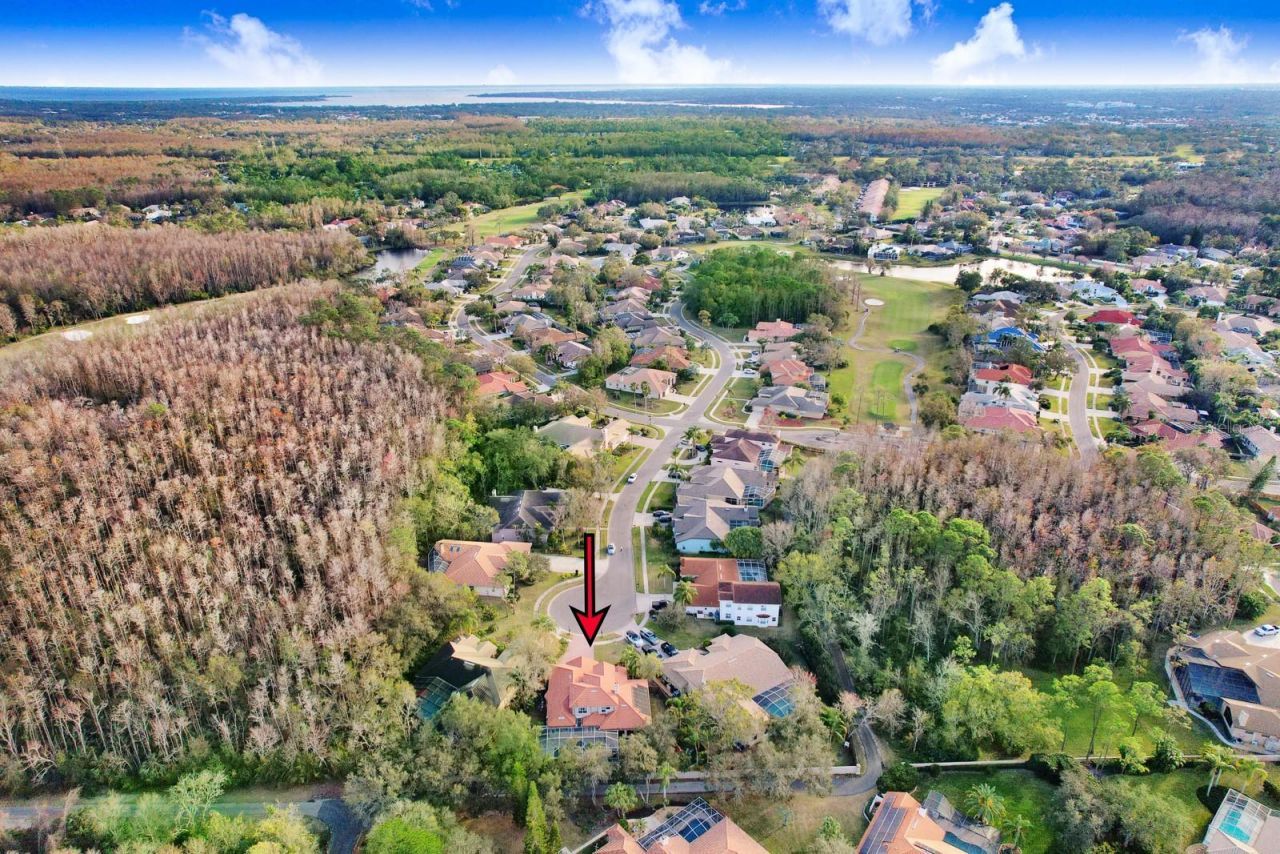 1598 Lockmeade Place, Oldsmar, FL 34677 Photo