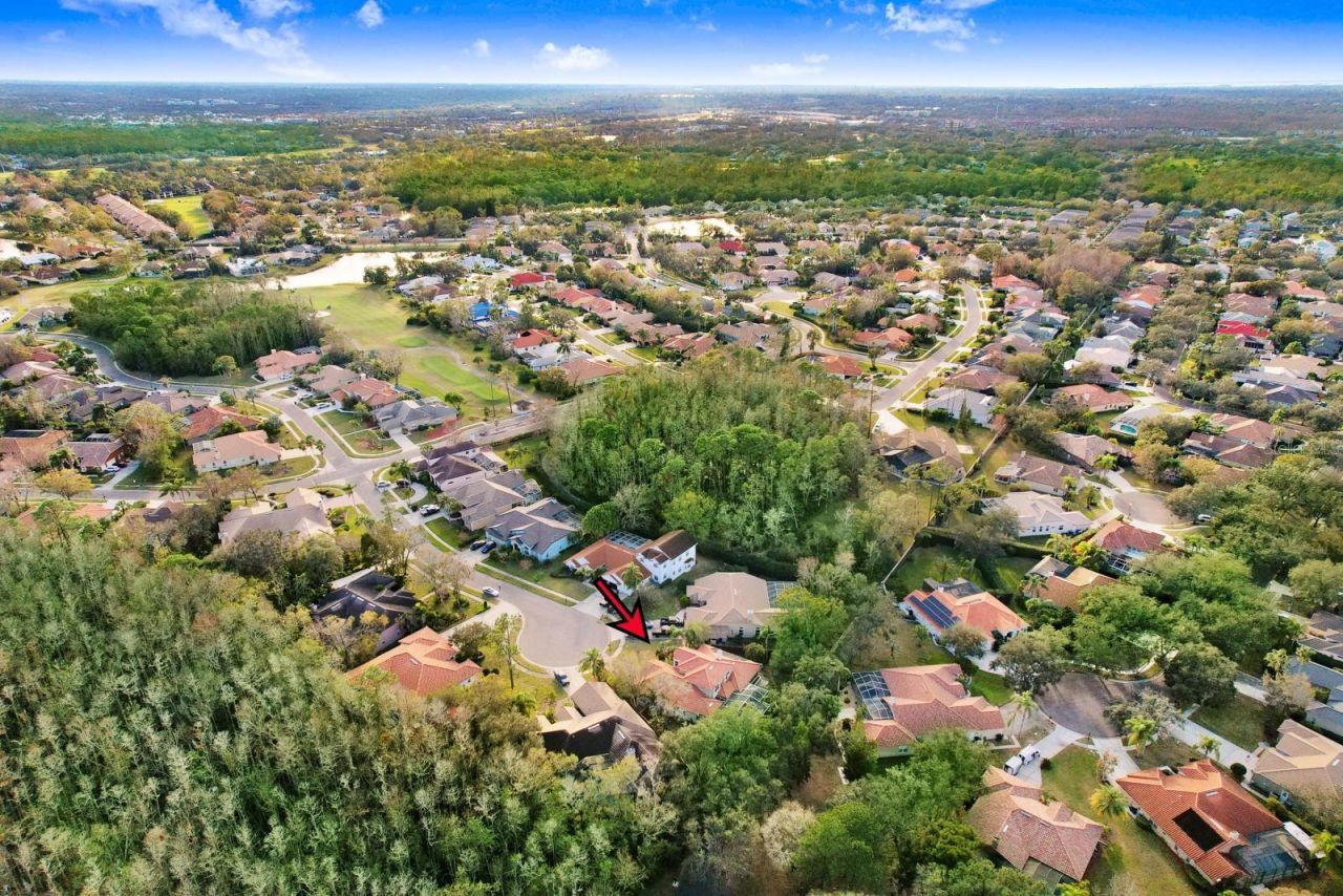 1598 Lockmeade Place, Oldsmar, FL 34677 Photo