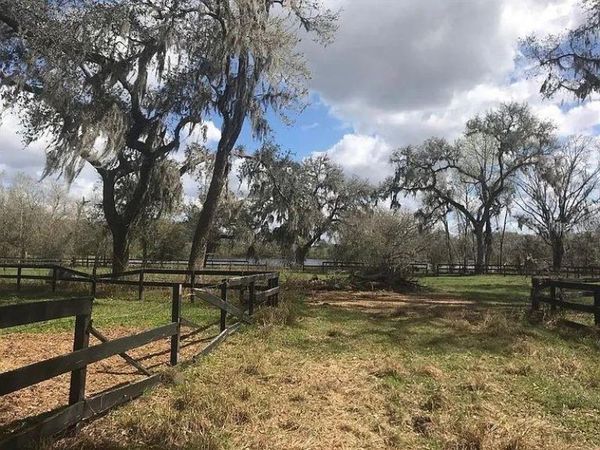 000 PALOMINO LAKES DR , DADE CITY, FL 33523