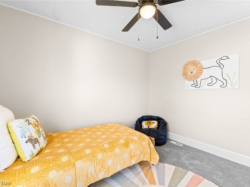 1529 Pilgrim Street, Akron, OH 44305 Photo 21