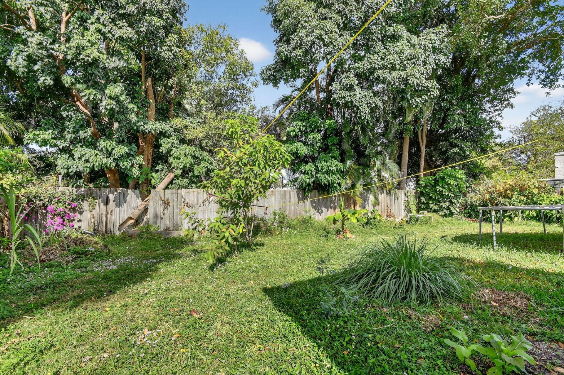 4559 Cole Street, West Palm Beach, FL 33417 Photo