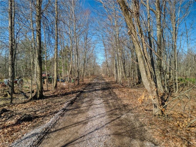 County Line Road , Madison, OH 44057 Photo 4