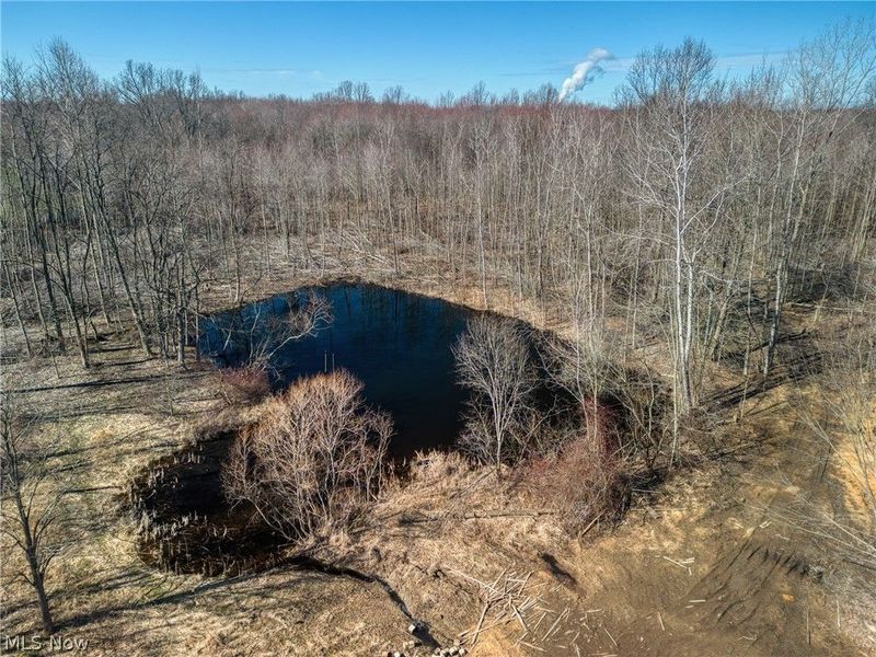 County Line Road , Madison, OH 44057 Photo 7