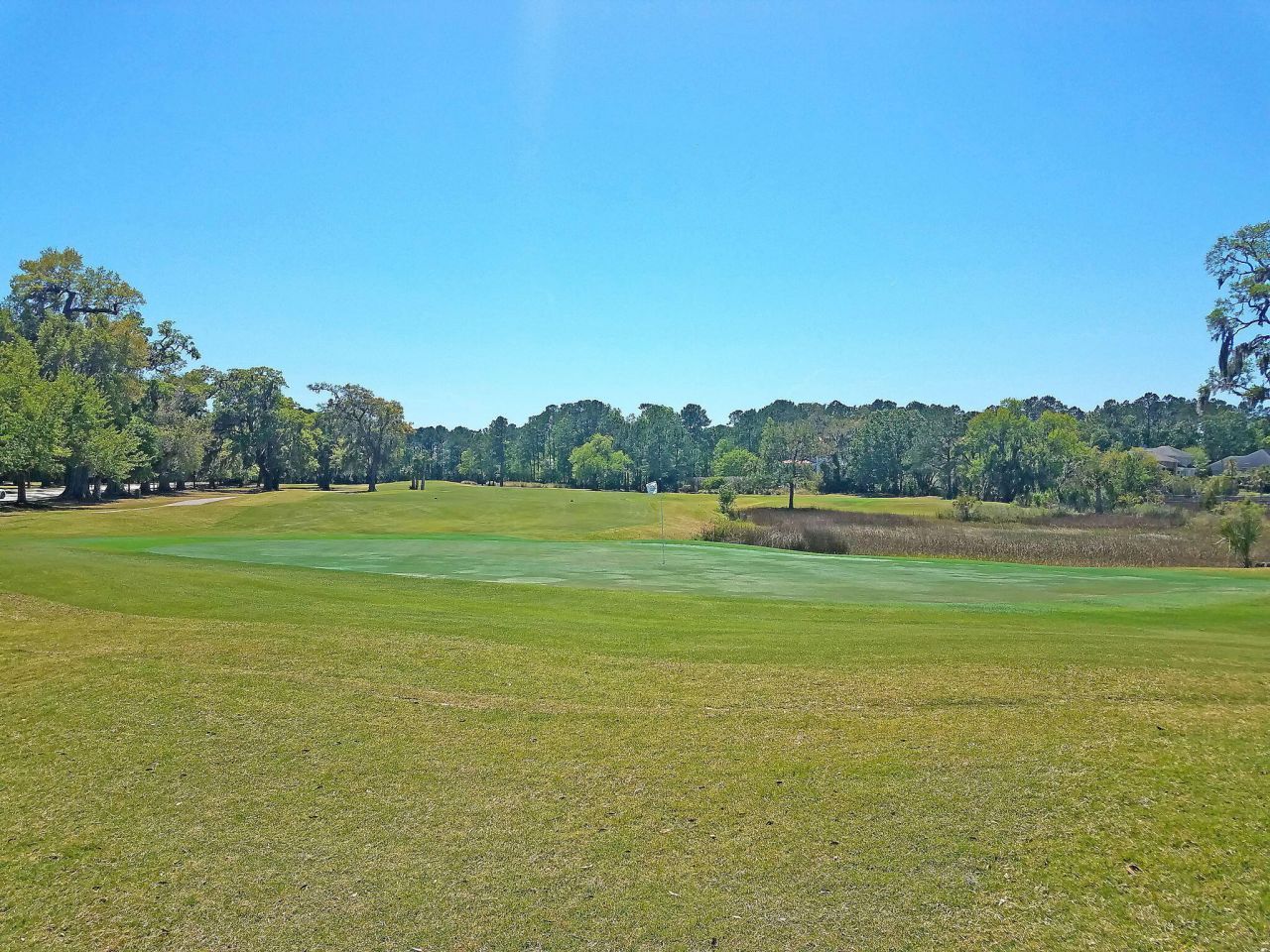 1638 Pin Oak Cut Photo 61