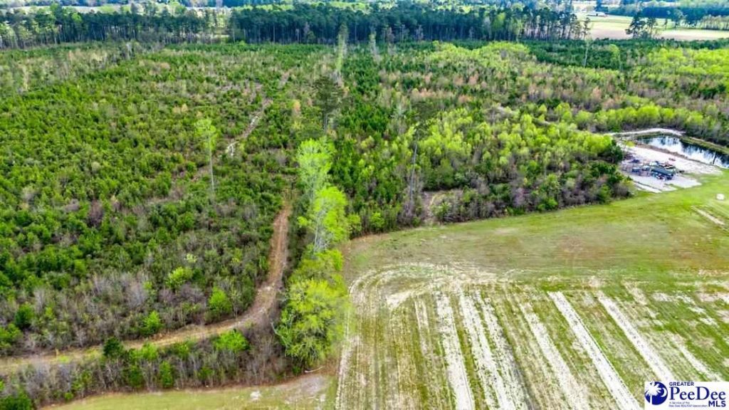 Tbd Jordan Rd Photo 4