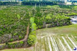 Tbd Jordan Rd photo 4