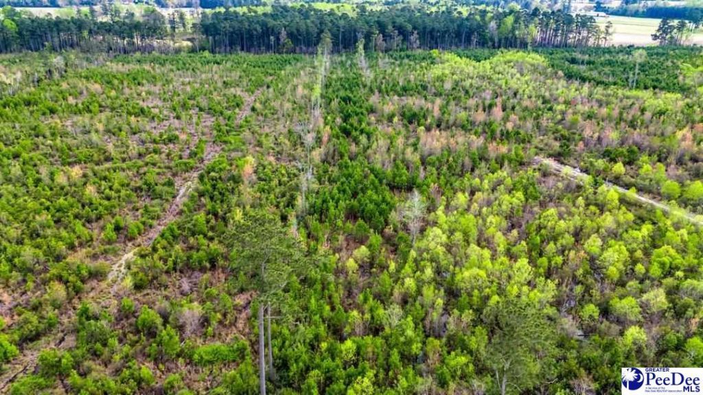 Tbd Jordan Rd Photo 5