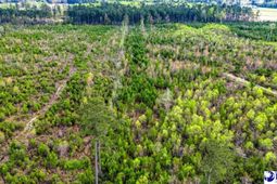 Tbd Jordan Rd photo 4