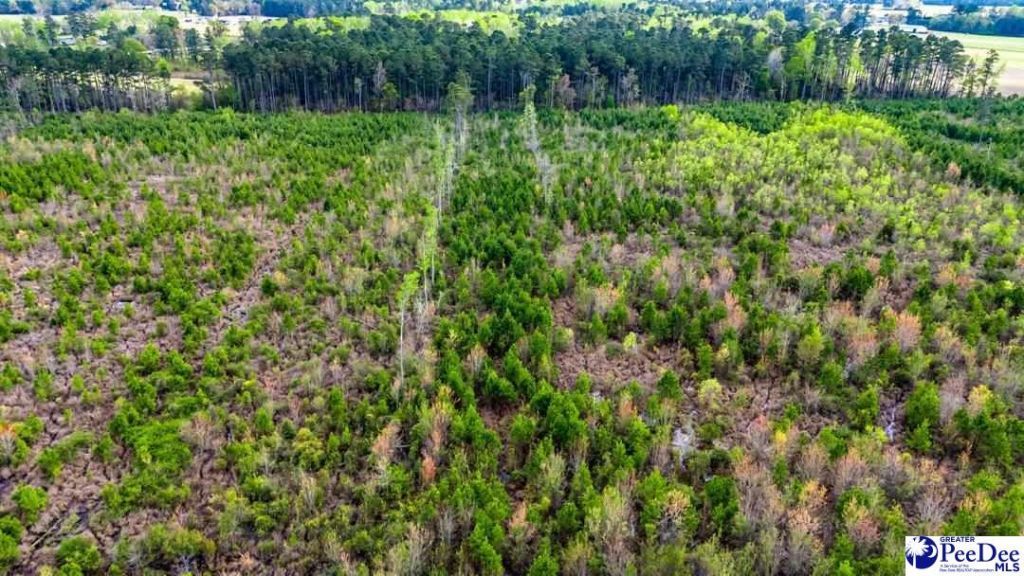 Tbd Jordan Rd Photo 6