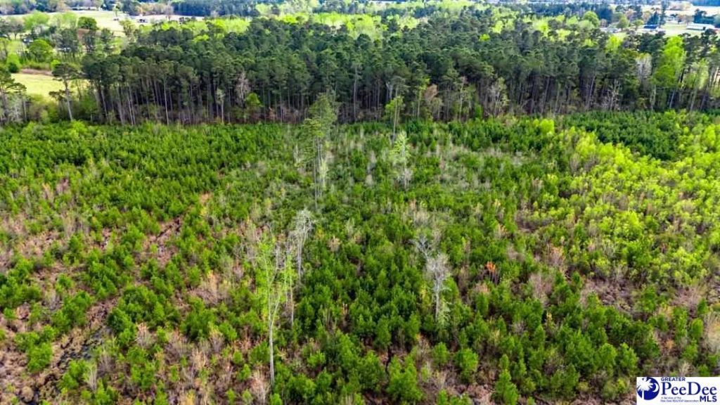 Tbd Jordan Rd Photo 7