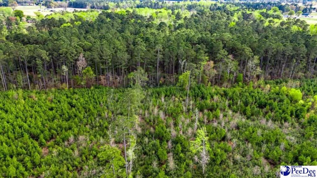 Tbd Jordan Rd Photo 8